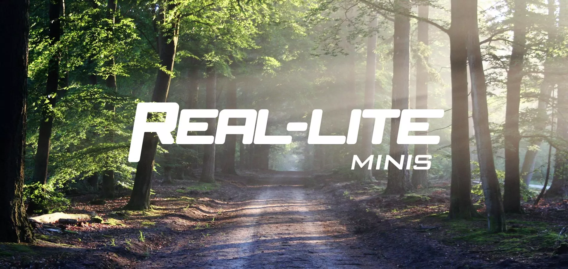 Real-Lite Mini RVs